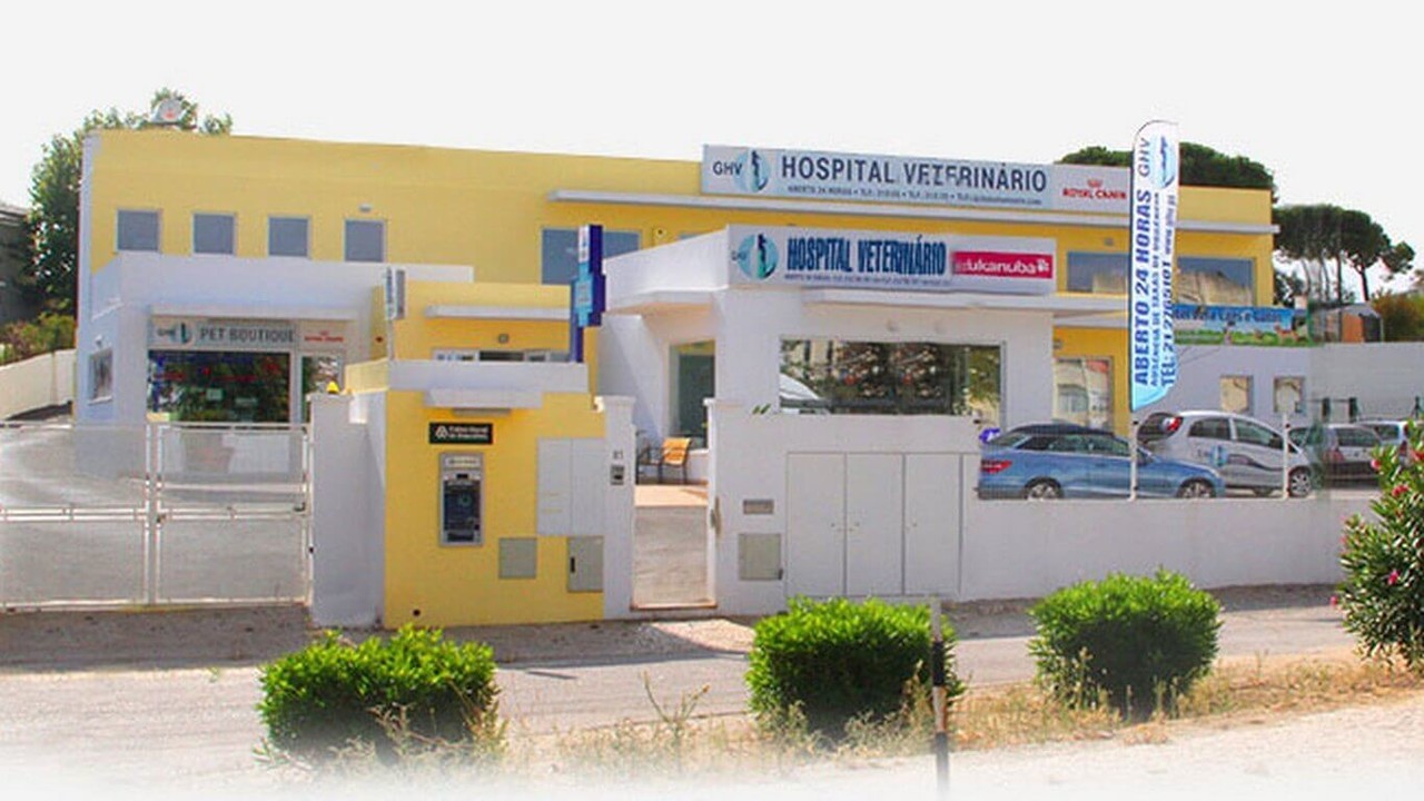 GHVS Hospital Veterinário