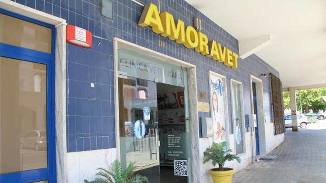 Amoravet - Clínica Veterinária da Amora
