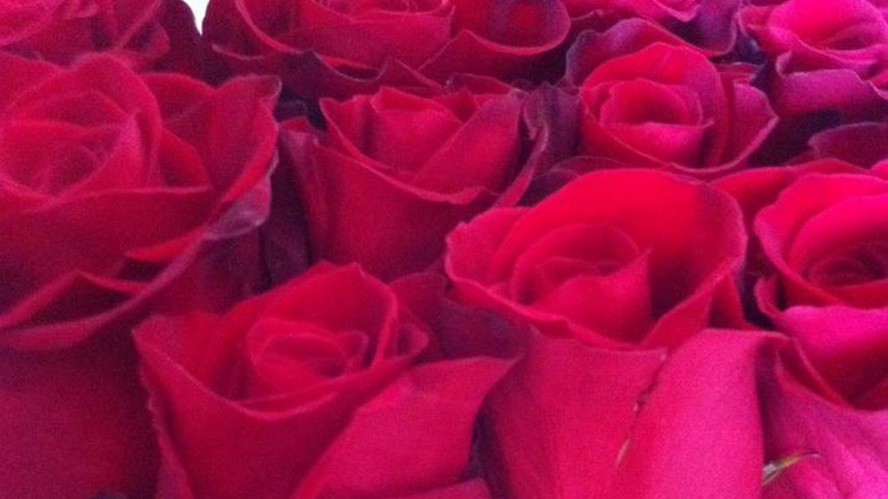 Henrique Silva - Comércio de Flores