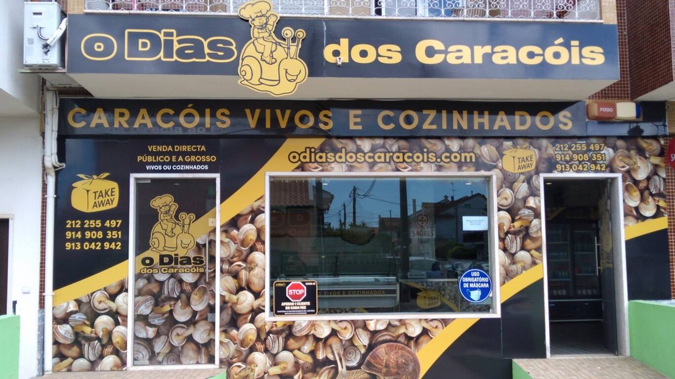 O Dias dos Caracóis - Foros de Amora